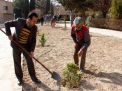 گزارش تصویری از آئیین درختکاری و تقدیر ازهمکاران فضای سبز دانشگاه